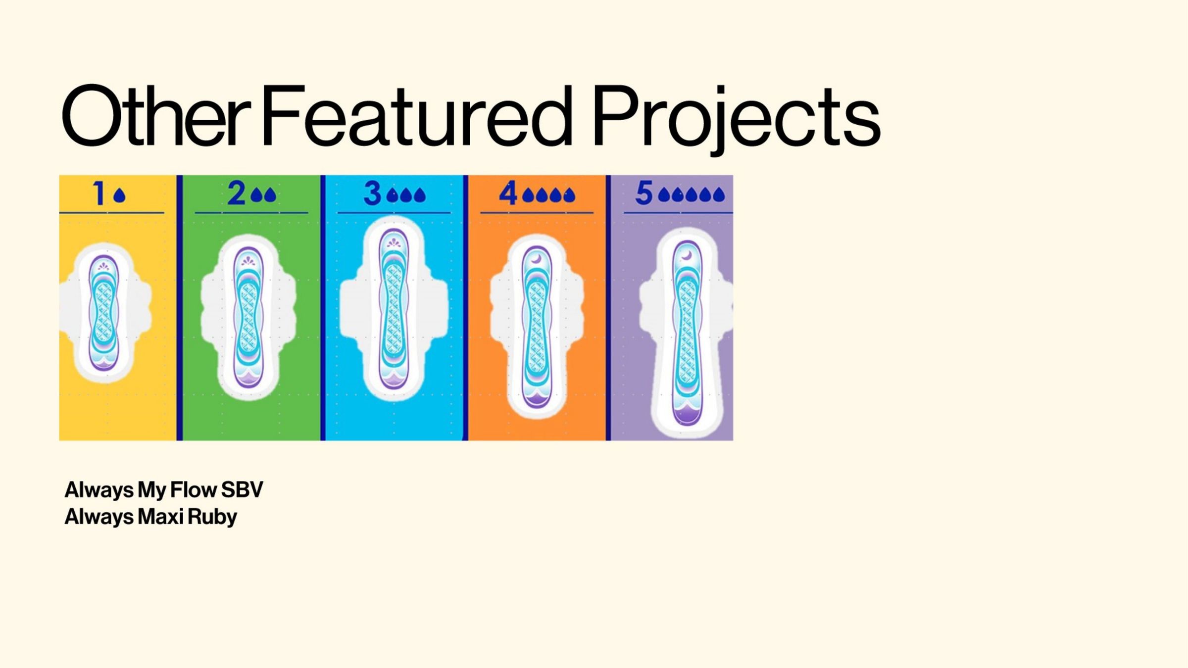 Other Featured Projects